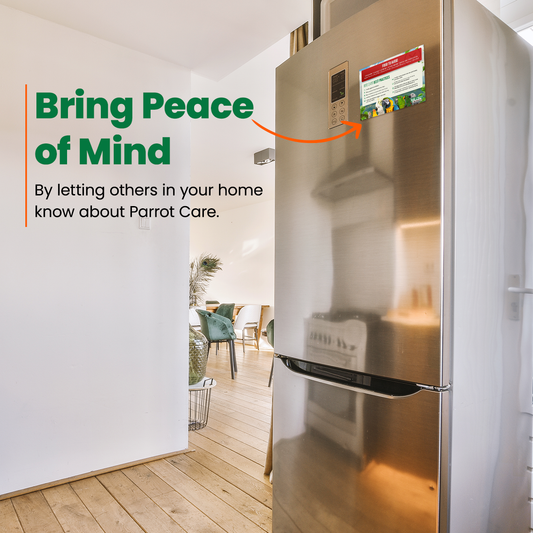 Parrot Care Fridge Magnet