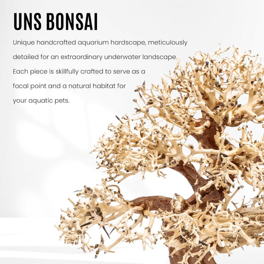 Transform Your Aquarium with the Exquisite UNS Bonsai Handcrafted Driftwood - Perfect for Aquascaping and Natural Decor