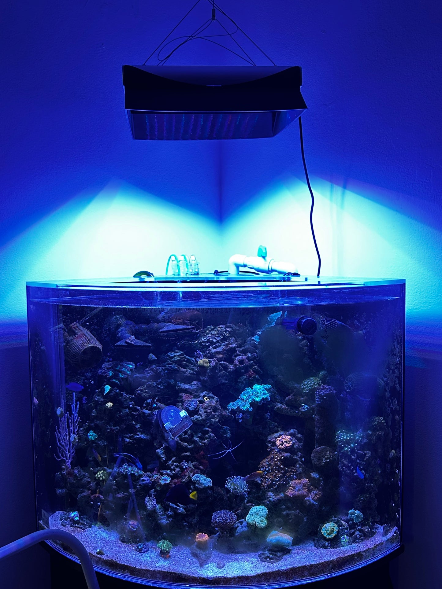 Orphek Natura iCon Light Shade