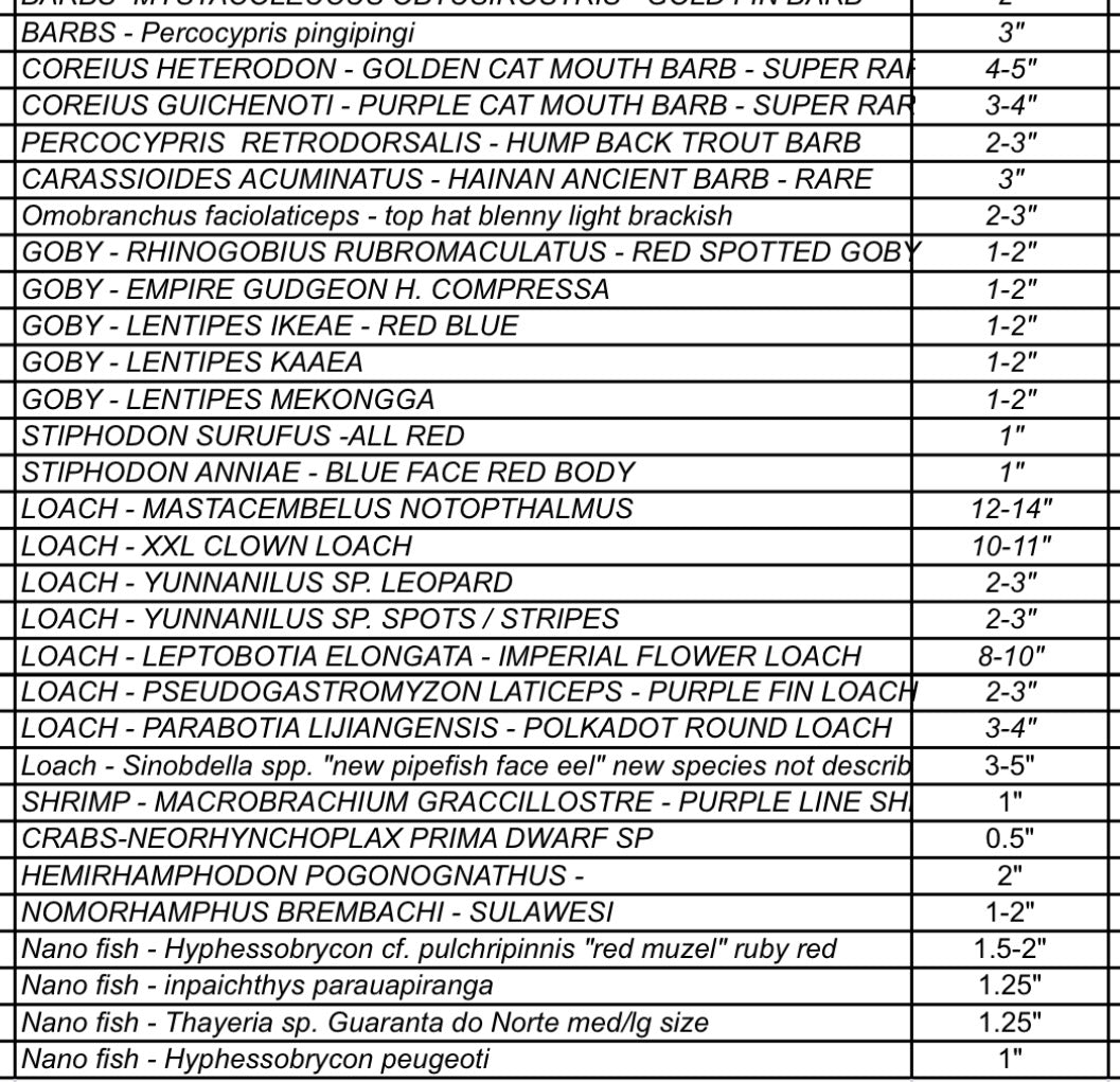 DECEMBER 2025 PRE-ORDER LIST (RARE FISH)