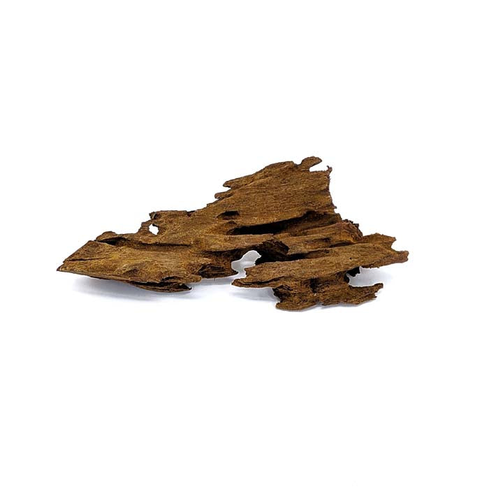 Malaysian Driftwood Small