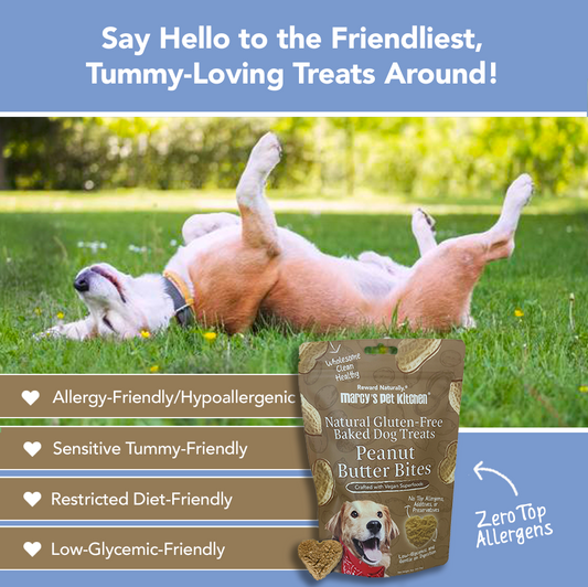 All-Natural Peanut Butter Dog Treats - Homemade-All Natural Dog Treats for Digestive Help - Gluten Free Healthy Human Grade Dog Biscuits for Sensitive Stomachs- USA Made