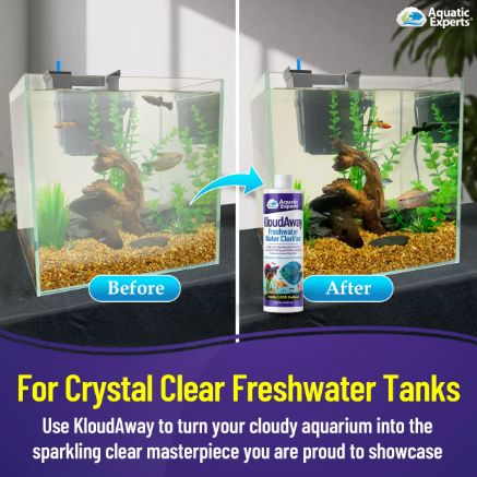KloudAway Freshwater Aquarium Water Clarifier - 500ml Cloudy Water Treatment for Fish Tanks - Made in USA