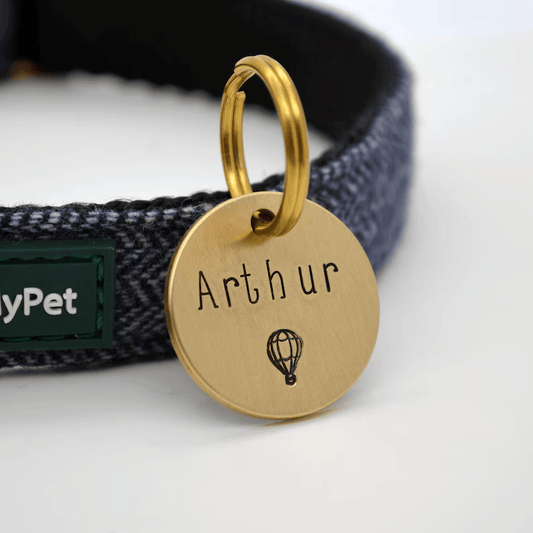 Arthur Hot Air Balloon Handstamped - Pet ID Tag
