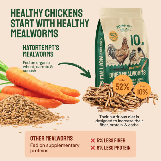 Premium Non-GMO Bulk Dried Mealworms - 10 Lb Bag - High-Protein Feed for Chickens, Ducks, and Wild Birds