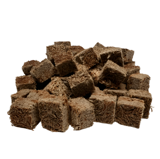 Super Cichlids Freeze-Dried Blackworms with Color Boost (All Natural, High Protein Fish Food)