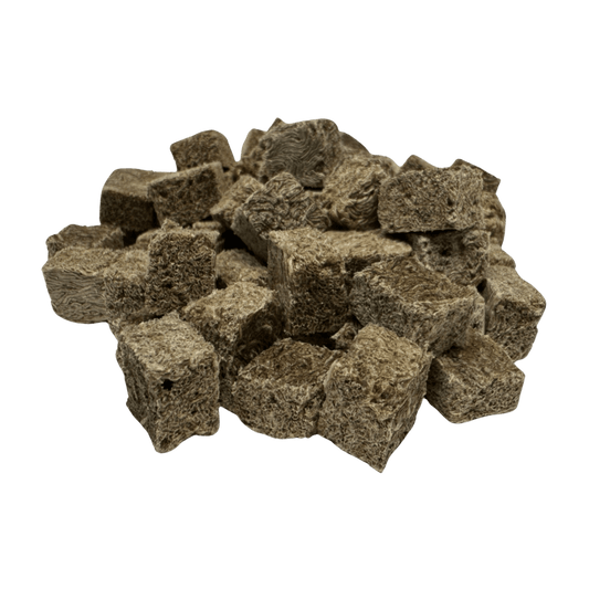 Freeze-Dried Blackworms Power Boost – Natural, Color Boost, Spirulina Cubes