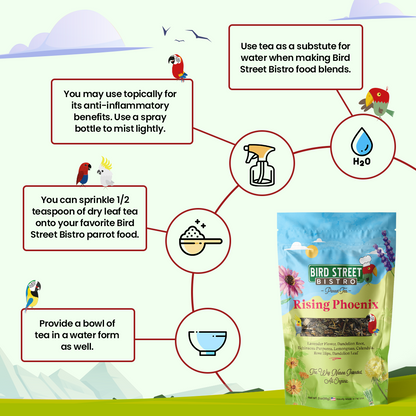 Parrot Tea Bundle Pack