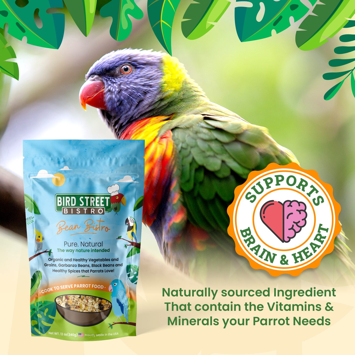 Bean Bistro Feast on the Fly