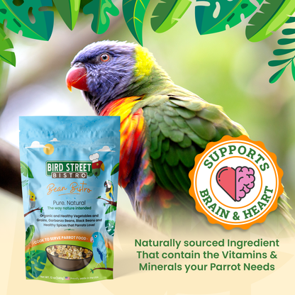 Bean Bistro Feast on the Fly