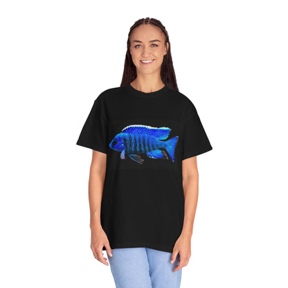 Cichlid Fish Graphic T‑Shirt — Danbury Aquarium Logo Tee