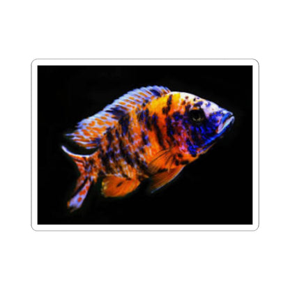 Vibrant African Cichlid Kiss-Cut Sticker – Colorful Aquarium Fish Laptop Decal