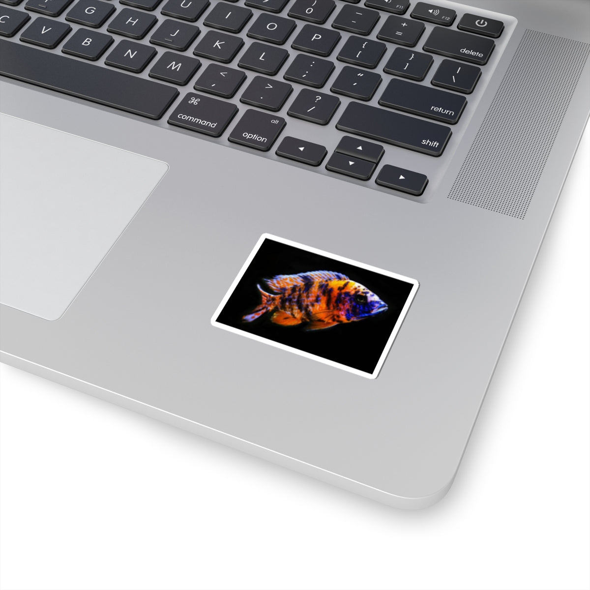 Vibrant African Cichlid Kiss-Cut Sticker – Colorful Aquarium Fish Laptop Decal