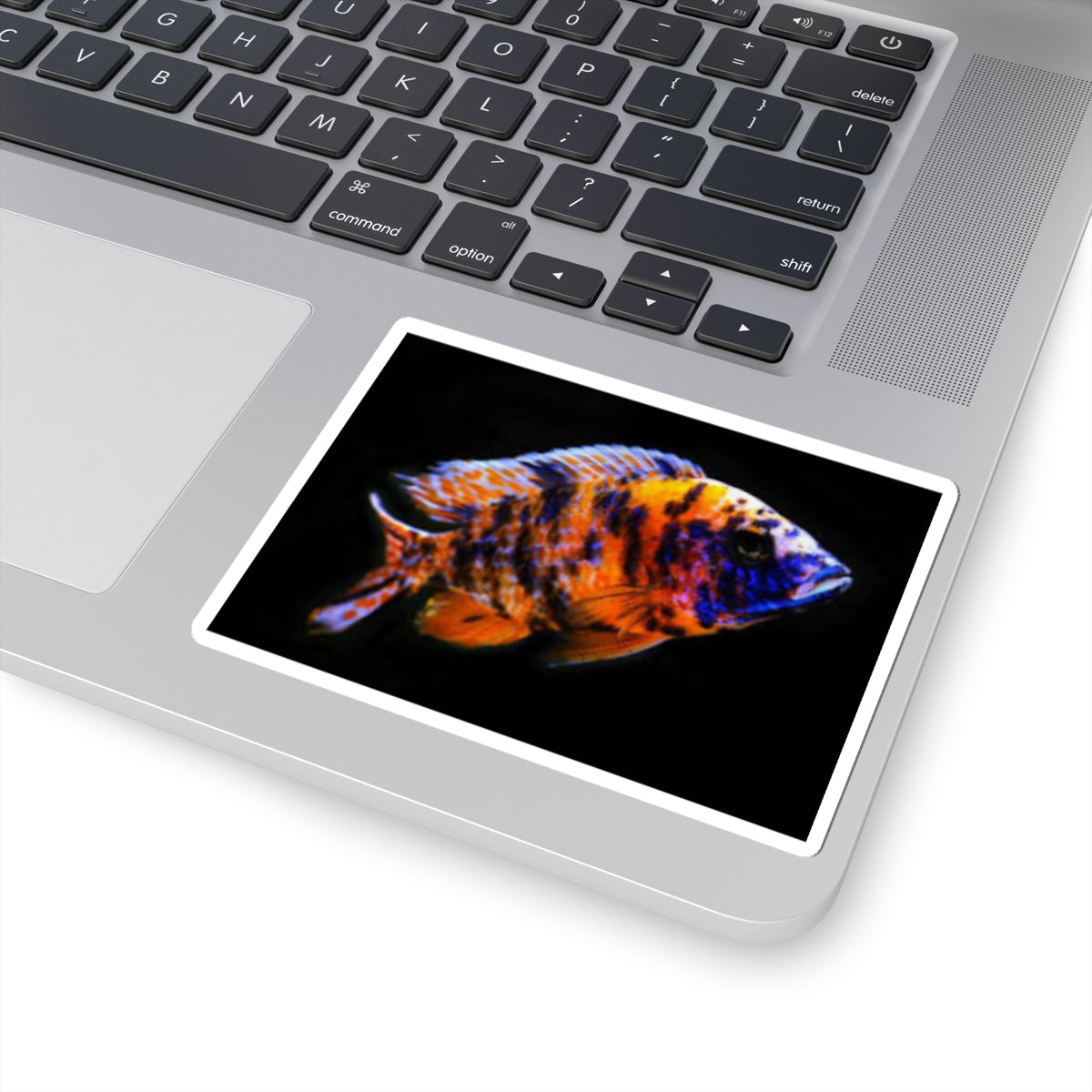 Vibrant African Cichlid Kiss-Cut Sticker – Colorful Aquarium Fish Laptop Decal