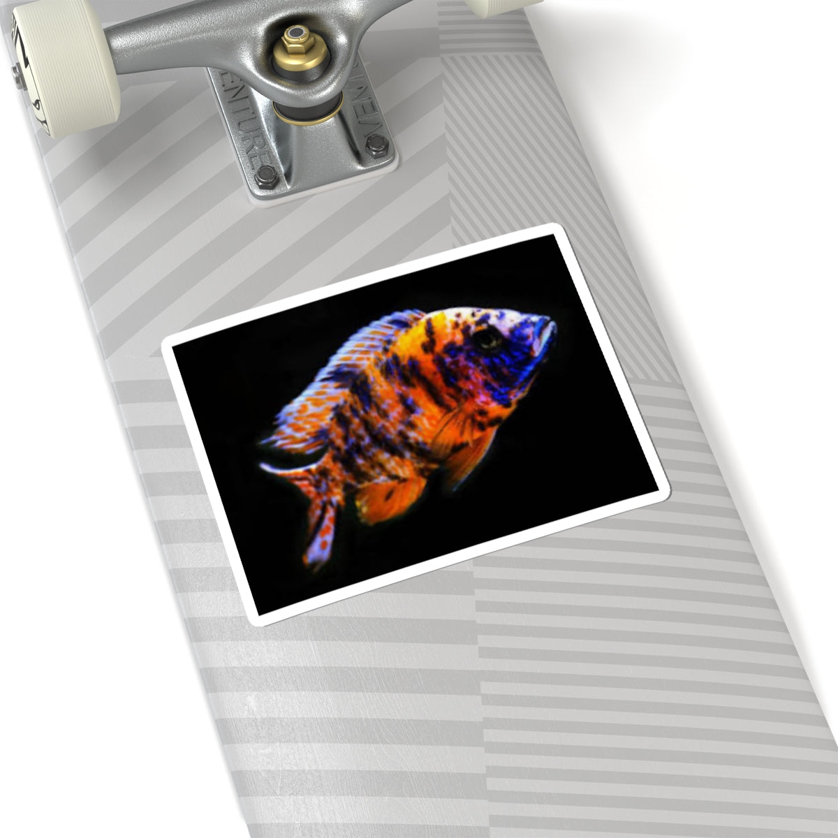 Vibrant African Cichlid Kiss-Cut Sticker – Colorful Aquarium Fish Laptop Decal