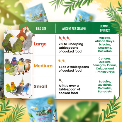 Bean Bistro Feast on the Fly