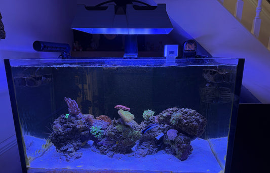 Neptune Systems SKY LED Light Shade