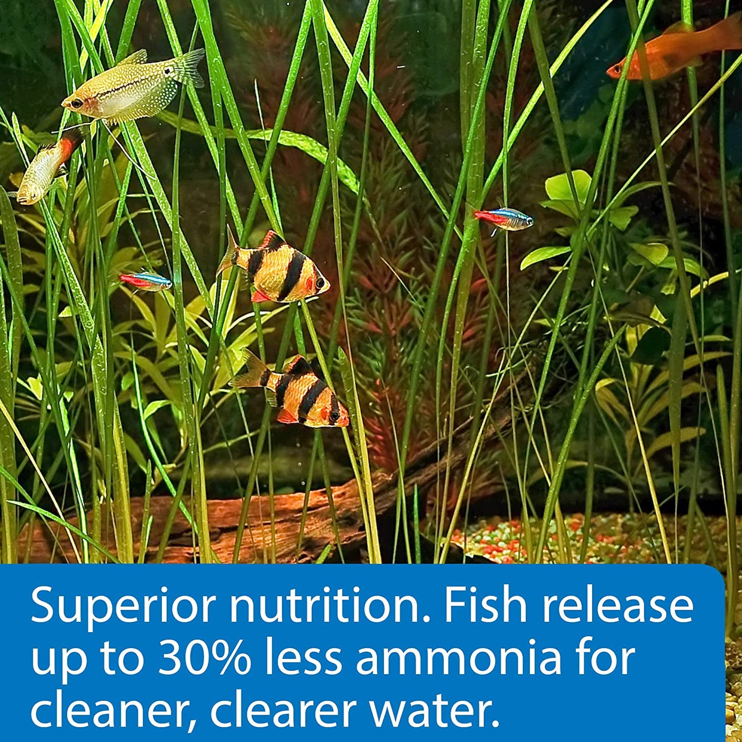 TROPICAL PELLETS Sinking Pellets Fish Food 4.2-Ounce Container, Medium (823B)