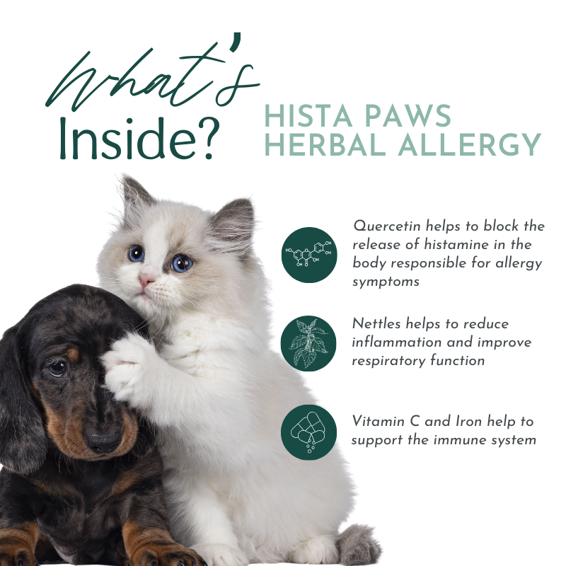 Hista Paws – with Quercetin for Dogs and Cats