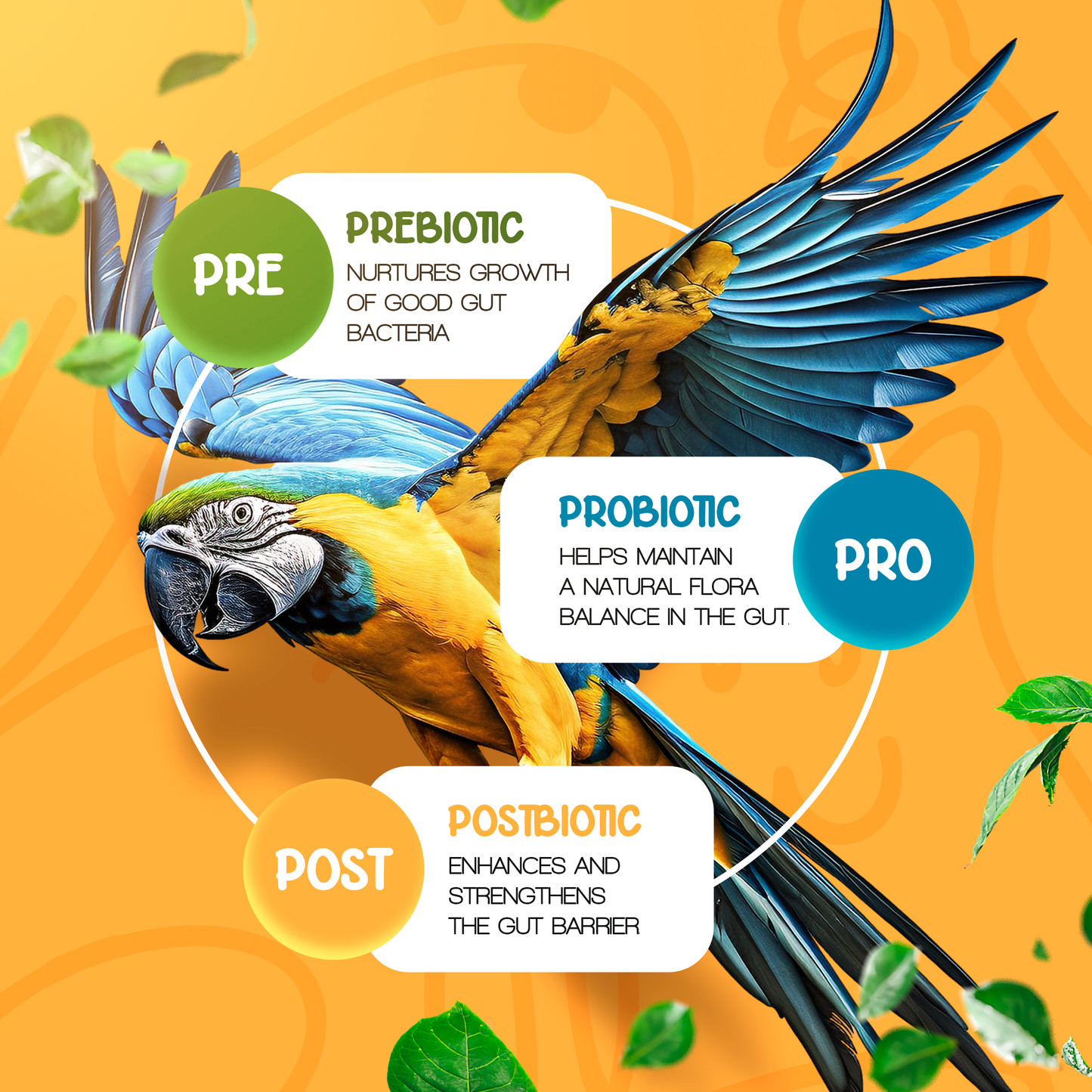 Organic Pre+Pro+Post Biotics Blend for Parrots - 1.06oz