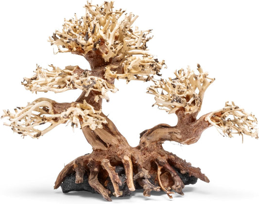 Transform Your Aquarium with the Exquisite UNS Bonsai Handcrafted Driftwood - Perfect for Aquascaping and Natural Decor