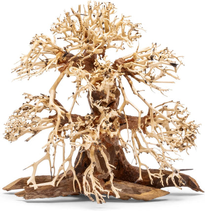 Transform Your Aquarium with the Stunning Bonsai Driftwood - Handcrafted Natural Hardscape for Aquascaping and Aquatic Plants - Large Size 15.5x7.5x16 IN