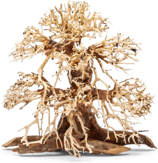Transform Your Aquarium with the Stunning Bonsai Driftwood - Handcrafted Natural Hardscape for Aquascaping and Aquatic Plants - Large Size 15.5x7.5x16 IN