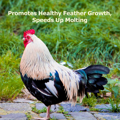 10LB Dried Black Soldier Fly Larvae, More Calcium than Dried Mealworms, High Protein Chicken Feed, Poultry Treat