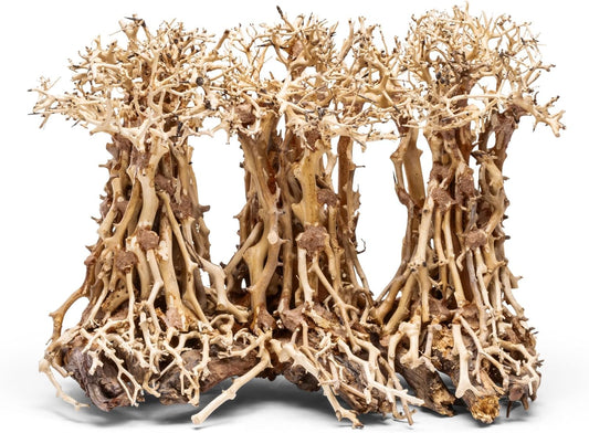 Transform Your Aquarium with Handcrafted Bonsai Driftwood - Perfect for Aquascaping and Enhancing Your Aquatic Environment