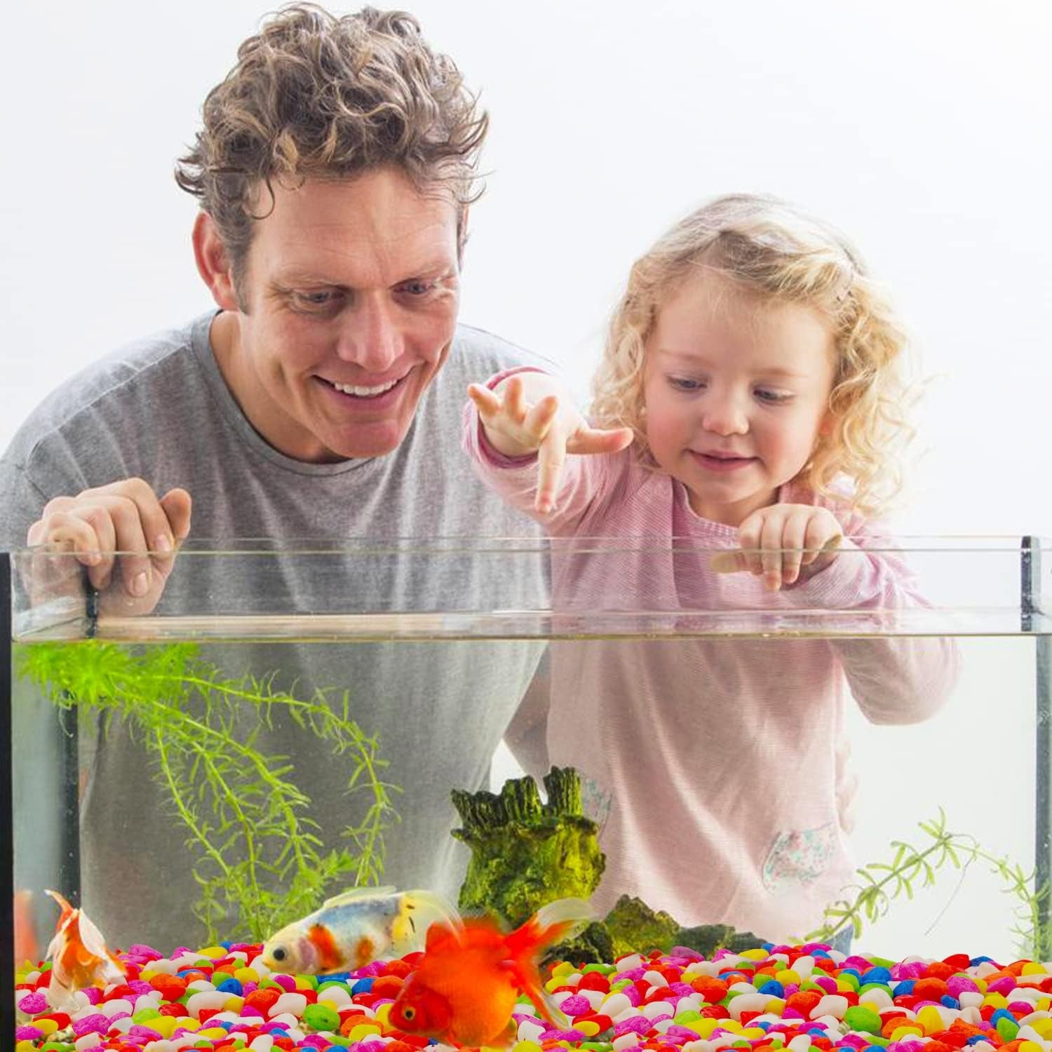 Vibrant 2.2 Lb Mini Rainbow Gravel Pebbles - Perfect for Aquariums, Succulents, Bonsai, and Home Decor (8-12mm)