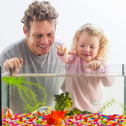 Vibrant 2.2 Lb Mini Rainbow Gravel Pebbles - Perfect for Aquariums, Succulents, Bonsai, and Home Decor (8-12mm)