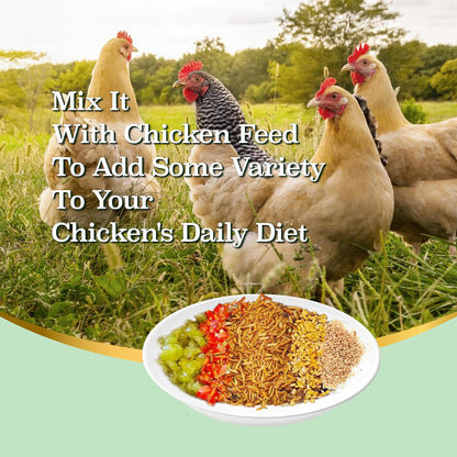 10LB Dried Black Soldier Fly Larvae, More Calcium than Dried Mealworms, High Protein Chicken Feed, Poultry Treat