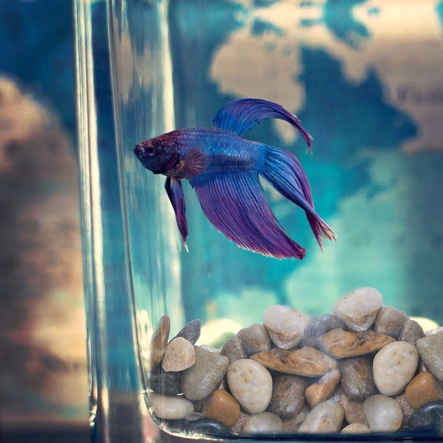 2 Lbs of Polished River Rocks - Perfect Decorative Pebbles for Indoor Plants, Aquariums, and Vases (0.3-0.6 Inches)