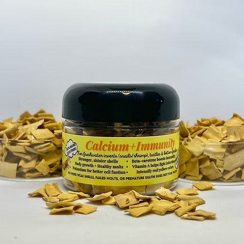 Calcium + Immunity