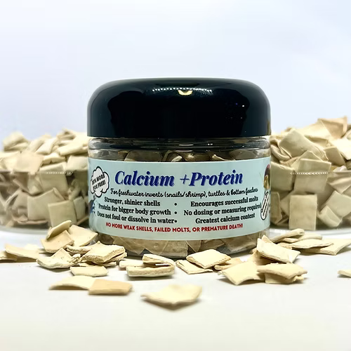 Calcium + Protein