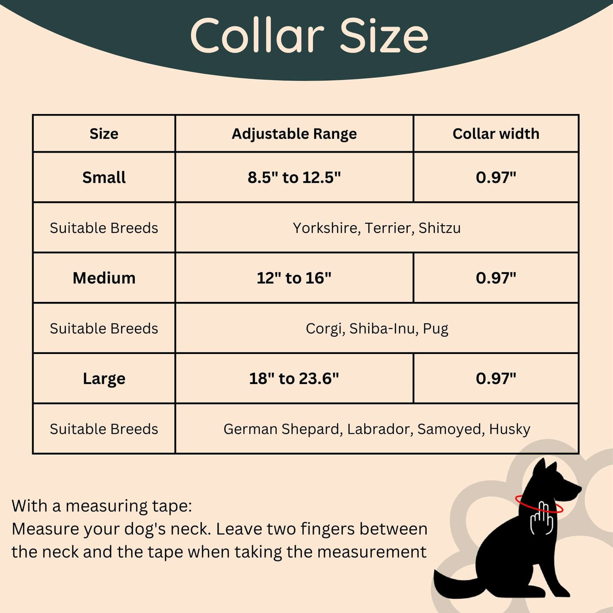 Dog Walk Combo: Collar, Leash, Dog Tag Set