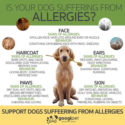 Allergy & Immune Support Chews for Dogs (Peanut Butter Flavor)