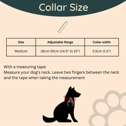 Tactical Dog Collar with a Free Custom Dog Tag