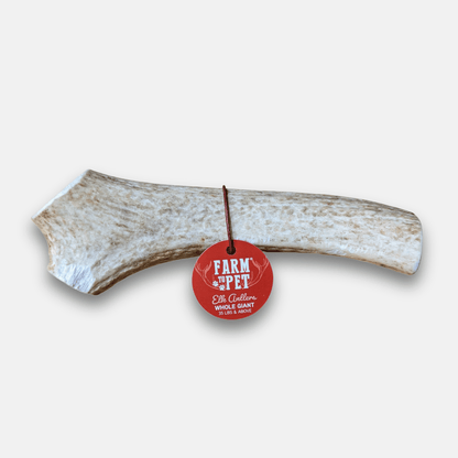 ELK ANTLERS FOR DOGS | WHOLE AND SPLIT ELK ANTLER CHEWS