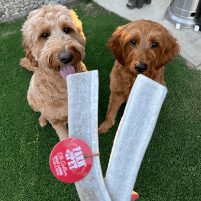 ELK ANTLERS FOR DOGS | WHOLE AND SPLIT ELK ANTLER CHEWS