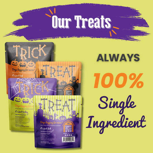 Halloween Dog Treat Snack Pack 24-Piece Bundle