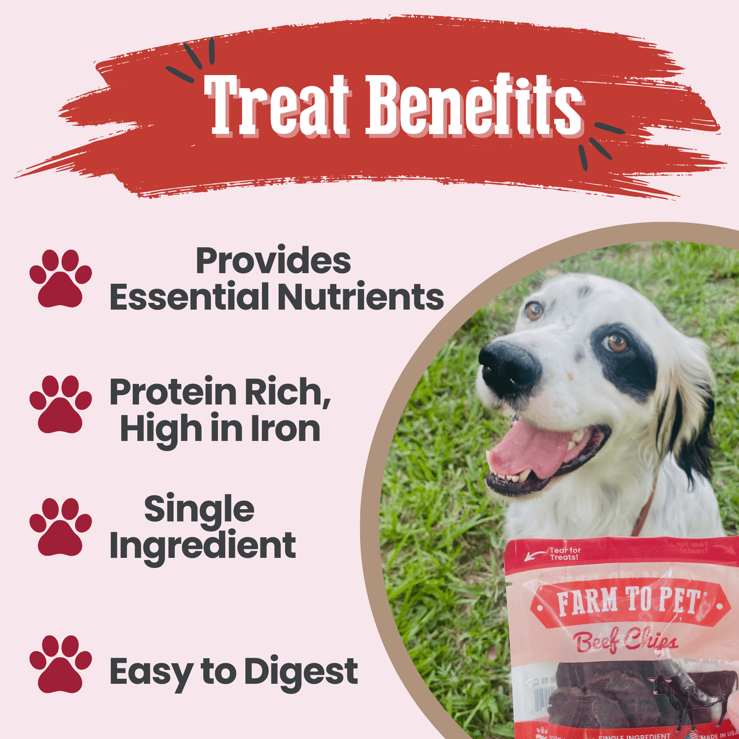 Beef Chips Snack Pack Bundles | Dog Treats for Training & Travel