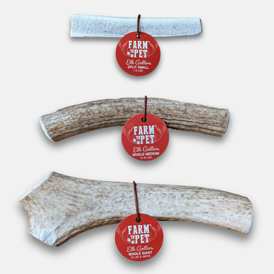 ELK ANTLERS FOR DOGS | WHOLE AND SPLIT ELK ANTLER CHEWS