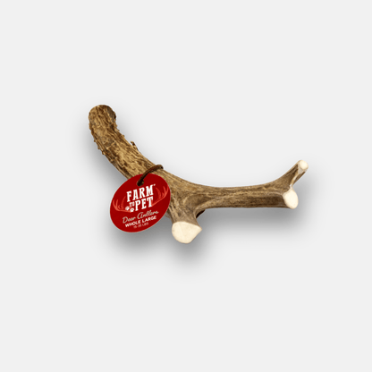 DEER ANTLER DOG CHEWS | ORGANIC CHEW FOR LARGE DOGS
