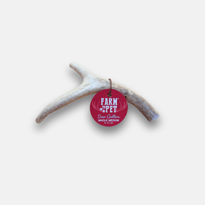 DEER ANTLER DOG CHEWS | ORGANIC CHEW FOR LARGE DOGS