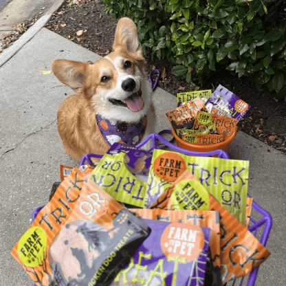 Halloween Dog Treat Snack Pack 24-Piece Bundle
