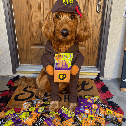 Halloween Dog Treat Snack Pack 24-Piece Bundle