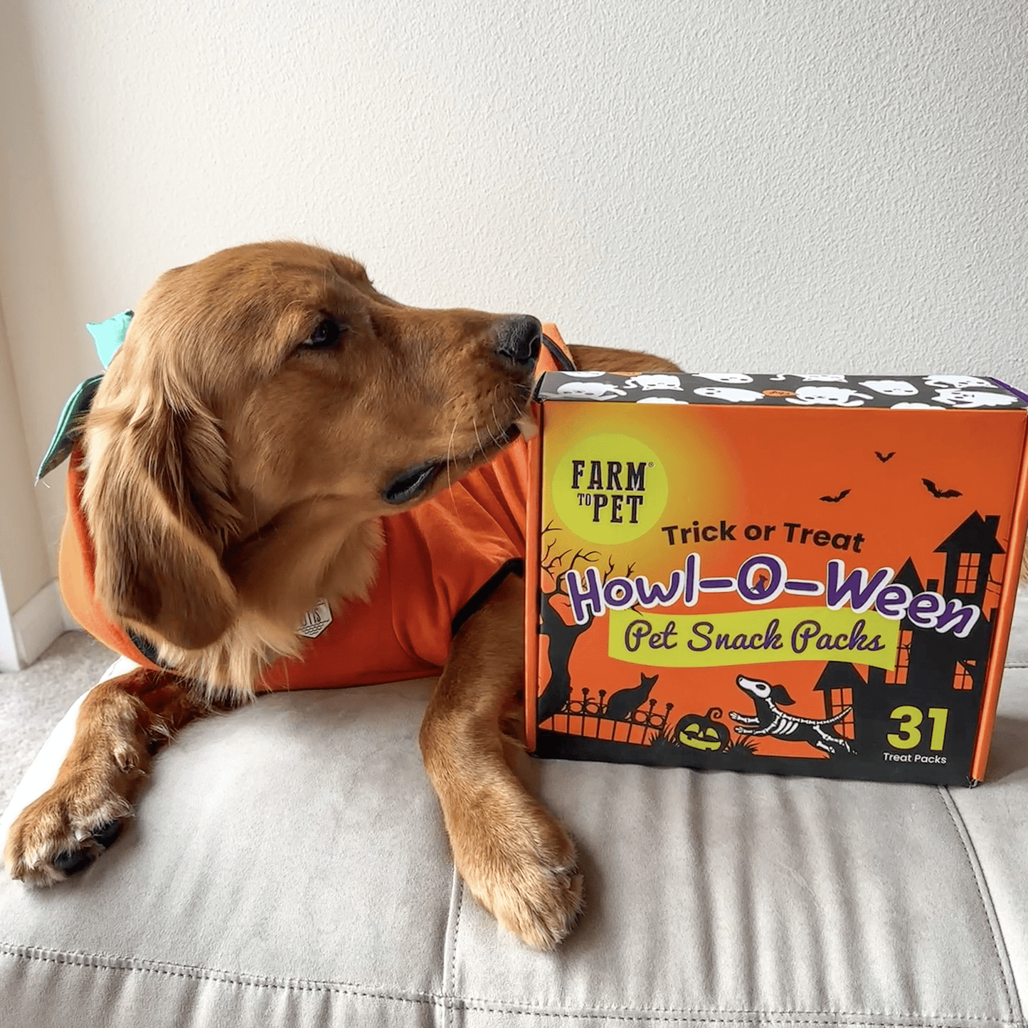 Halloween 31 Snack Pack Dog Treat Box