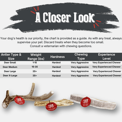 DEER ANTLER DOG CHEWS | ORGANIC CHEW FOR LARGE DOGS