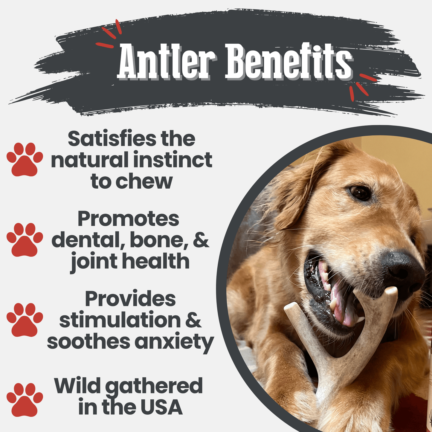 DEER ANTLER DOG CHEWS | ORGANIC CHEW FOR LARGE DOGS